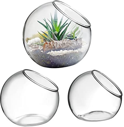 PHENOFICE 3 Pack Round Glass Plant Jars for Indoor Home Decor Air Plant Terrarium Bowls Beveled Opening Small Succulent Vase Set for Office Balcony