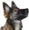 Kerbl Pet Nylon Maulkorb S, schwarz 14 - 20 cm / 6,5 cm