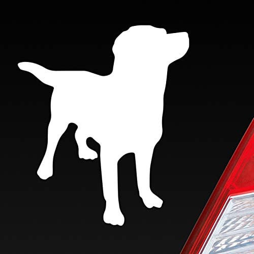 Hellweg Druckerei Labrador Labbi Retriever Dog Hund Dog Tier Auto Aufkleber Sticker Heckscheibenaufkleber