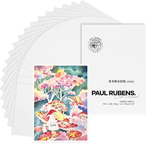 Paul Rubens Aquarellpapier, hohe Saugfähigkeit, Malpapier, säurefrei, kaltgepresst, 100 % Baumwolle, 300 g/m², 20 Blatt, Kunstbedarf, Aquarellzeichnung für Anfänger, Künstler