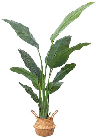 DOKKOME Grand oiseau de paradis artificiel - 160 cm - Palmier tropical avec 10 feuilles - Bananier en plastique - Plante en pot - Décoration pour salon, chambre à coucher, bureau