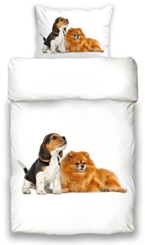 Schwanberg Bettwäsche Set Ginger Dogs Beagle Spitz Renforcé Softtouch Qualität Tiermotiv Hunde Welpen Wendeoptik, Größe:135 cm x 200 cm
