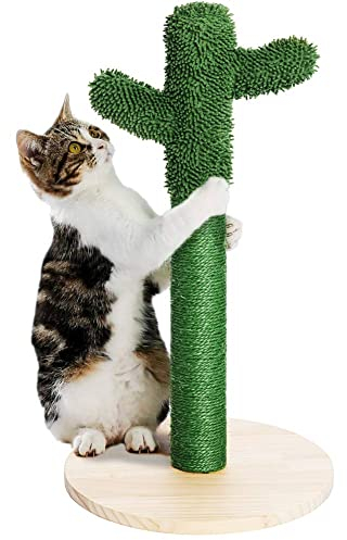 BAKAJI Rascador arañador Cactus árbol Forma Planta para Gatos Animales felinos Color Verde con Flor interactiva para uñas antiarañazos Juguete Estable Resistente Resistente Cuerda de cáñamo
