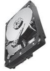 Seagate ST33000651NS Constellation