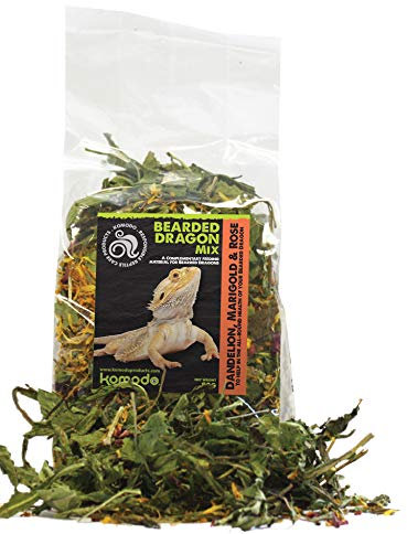 Komodo Bearded Dragon Mix Balanced Highly Nutritious Safe Everyday Natural Healthy Non Toxic Pet Reptiles Food Treats - 80g
