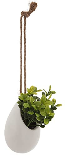JJA Künstliche Pflanze zum Aufhängen, Durchmesser 6 cm, 9,5 cm, Weiß