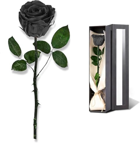 IGXX Rose Noire Éternelle sous Coffret Cadeau Élégant, Véritable Fleur Stabilisée Unique, Cadeau Romantique pour Femme, Saint-Valentin et Fête des Mères