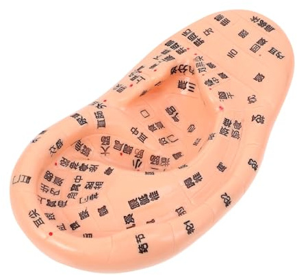 Homoyoyo Ohrmassage-modell Aus Pvc Realistisches Ohrmodell Für Tcm-behandlungswerkzeug Massagezubehör Bruchfest Und Sicher Für Lehrzwecke Und Promotionen