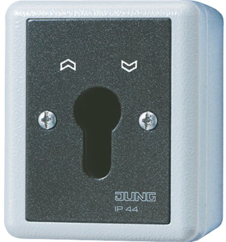 Jung 834.28G Schluesselschalter