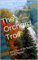 The Orchard Trail: Part One of the Stoney Jacks Trilogy (English Edition)