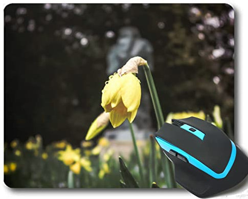 YENDOSTEENicht-Schlupf-Gummi-Gaming-Maus-Pad, Phalaenopsis Pink Flowers Orchid Bokeh Personalisierte Rechteck-Gaming-Maus-Pads 300 * 250 * 3 mm