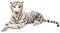 Fenteer Tiger Plüschtier, Schlafkissen, Kuscheltier Plüschpuppe, Sofa Dekoration, Weiß