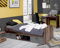 Forte Winnie Bett 90 100, Jugendbett 2 Schubladen, Liegefläche 90 cm x 200 cm, Einzelbett, Holzwerkstoff, Old-Wood Vintage Holzdekor/Betonoptik Dunkelgrau, 96 cm breit x 65,5 cm hoch x 206,4 cm tief