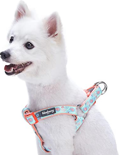 Blueberry Pet Hundegeschirr, mit blumigem Paisley-Druck, verstellbar, mit weichem Neopren gepolstert, passendes Halsband und Leine separat erhältlich