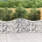 HIGSOSE Panier de Gabions Arqué 200x30x80/100 cm Fer Galvanisé Gabion Jardin Gabion Wall Mur Gabion Cage à Gabion Clôture en Gabion Barrière en Gabion Cage en Gabion Mur en Gabion Gabion Jardiniere