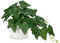 Oairse Small Artificial Plants in Ceramic Pots Decorative Fake Potted Plants Faux Vine Green Plant Realistic Greenery Plant Indoor for Home Office Kitchen Bathroom Desk Décor