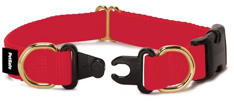 PetSafe KeepSafe Break-Away Collar, Prevent Collar Accidents for Your Dog or Puppy, Improve Safety, Compatible with Lead Use, Adjustable Sizes