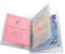 Exacompta - Réf. 5396UE - 1 étui de protection multicartes 4 volets (8 faces) - Pour nouveau permis de conduire, carte gris, carte d'identité, carte d'abonnement - 8,8 x 13,8cm - cristal