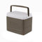 Alacritua Autokühlschrank, Kühlbox Auto Mini Kühlschrank, kühlschrank ohne gefrierfach,Tragbare Camping-Kühlbox Gefrierbox für Auto, LKW, Boot, 8.5 Liter
