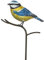 Dehner Dekostab Blaumeise, 2.5 x 15 x 120 cm, Metall, blau/gelb