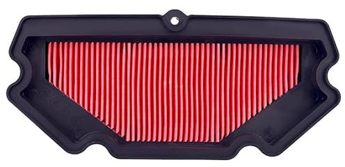 Moto Filtro Aria e Filtro Olio for Kawasaki ER-6F ER6F EX650 ER-6N ER6N ER650 ABS 2013-2016 11013-0713 (Color : Air filter)