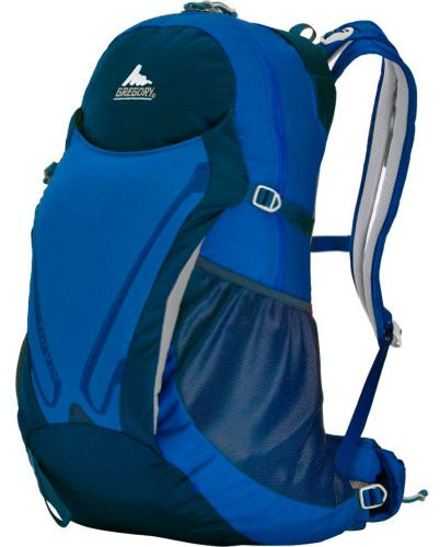 Gregory FURY 24 DAYPACK Rucksack, Reflex Blue