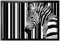 1art1 Zebras Barcode Zebra Fußmatte Dekomatte Innenbereich | Design Türmatte 60x40 cm
