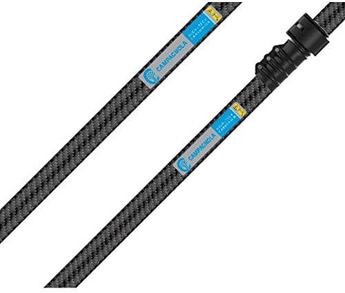 Abbacchiatore elettrico a batteria Campagnola Icarus 58V - Raccolta olive Professionale (SOLO ASTA TELESC. 150/220 IN CARBONIO)