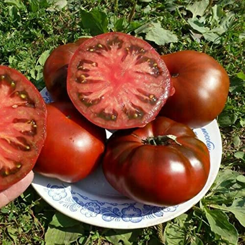Haloppe Paquete de 50 semillas de tomate morado para plantar en el jardín del hogar, semillas de tomate morado semillas de hortalizas sabrosas para plantar Violeta
