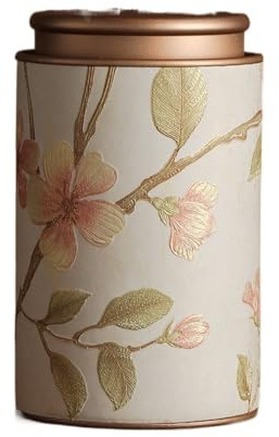Scatola vuota per tè in metallo vintage, elegante contenitore di latta per caffè, erbe, caramelle, cioccolato, zucchero e spezie (Bianco-L)