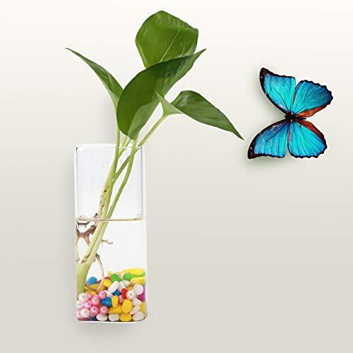 Zerodis Hängevase Wandvase Pflanzengefäße Glas-Wand-Pflanzgefäßen Garden Flasche Vase für Haus Garten Pflanzen Blumen Hausdekoration Glas Transparent Hochzeit DIY-Projekt Urlaub