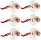 PRETYZOOM 6st Fotokugel-anhänger Innen Klare Fotokugeln Gravierbar Klare Ornamentkugeln Rahmen Ornamente Für Die Party Ornamente Zum Basteln Transparente Befüllbare Kugel Weiß Plastik