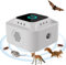Rodent Repellent Indoor, Electronic Rodent Repellent, Mouse Deterrent, Rat Control with Ultrasounds 12 Strobe Lights, Ultrasonic Mouse Repeller, Mice Repellent Plug-in