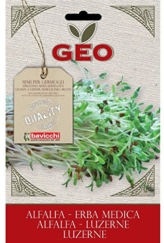 Geo ZER0203 Erba Medica Semi da Germoglio, Marrone