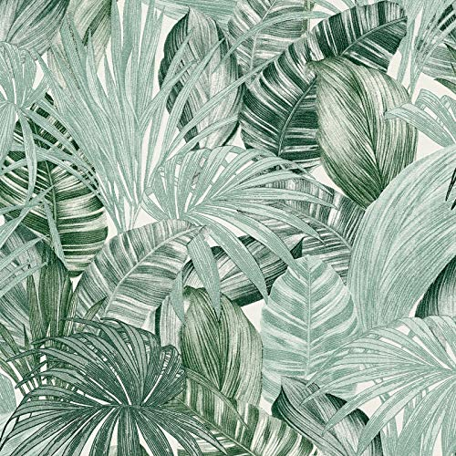 BRICOFLOR Papier peint jungle vert Papier peint tropical exotique Idéal chambre