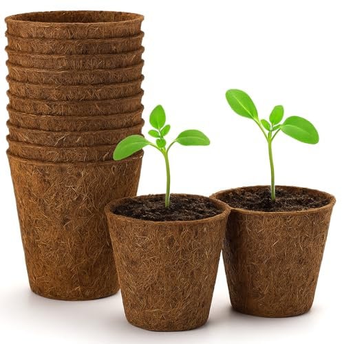 GardenersDream Biodegradable Coir Plant Pots Eco-Friendly Coconut Fibre for Seedlings, Cuttings (10, 14cm)
