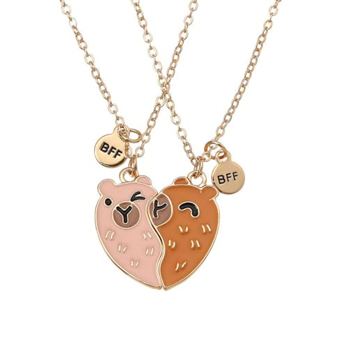 Saalort Best Friend Necklace for 2, Split Heart Capybara Matching Friendship Jewelry for Women Bestie (Brown)