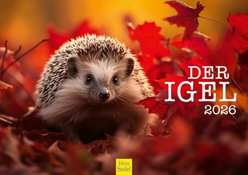 Edition Seidel Premium Kalender Der Igel 2026 Format DIN A3 Wandkalender Tierkalender Tier Wald heimische Wildtiere Waldtiere