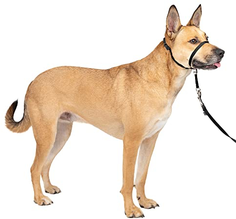 Gentle Leader Quick Release Head Collar Medium Black 25-60 lbs