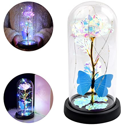 Vesaneae Rose Enchantée La Belle et La Bête, Rose Éternelle sous Cloche en Verre, Rose Dôme en Verre avec Lumières LED, Rose Élégant en Verre, Idée Cadeau pour Femme,Anniversaire,Maman,Saint-Valentin