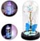Vesaneae Ewige Rose im Glas, Schöne und Biest Rosen mit LED Licht, Galaxy Rose Blume Geschenk, Künstliche Kristallrose Blume, Geschenk für Frauen, Muttertag, Valentinstag, Weihnachtstag, Jahrestag