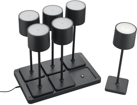 Reality Leuchten LED Akku Außen Tischleuchten Set Fernandez R5409662, 6x Akku Tischleuchten mit 6er-Ladestation, Metall/Kunststoff Schwarz matt je 1.5 Watt LED