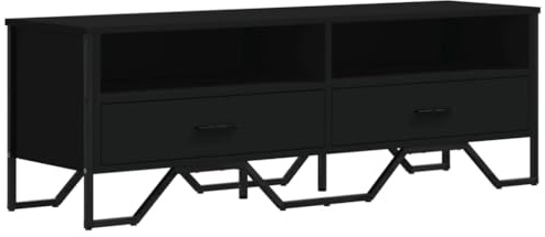 vidaXL TV Schrank, Fernsehtisch mit Stauraum, Fernsehschrank für Wohnzimmer, TV-Regal Lowboard für Fernseher, Schwarz Holzwerkstoff
