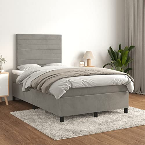 Sufrk Boxspringbett mit Matratze Betten Matratze Bett Mit Matratze Boxspringbett Mit Bettkasten Hellgrau 120x200 cm Samt - 3143073