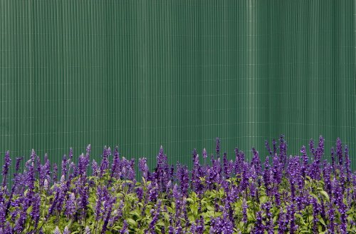 NOOR PVC Sichtschutzmatte - wetterfester Sichtschutzzaun für Balkon, Terrasse und Garten - stabile Balkonverkleidung als Sichtschutz - einfache Montage der Zaunblende - Grün 200 cm x 3 m