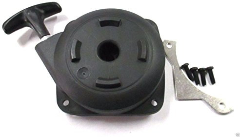 MTD Part 753 – 06243 Rera starter ASM