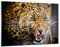 ARTTOR Wandbilder Dekoration Wohnzimmer Leopard tier savanne afrika Bilder auf Glas 120x80cm Glasbild Schlafzimmer Küche Deko Wand Kunstdruck Art Groß XXL Wanddeko Bild im Glas Modern GAA120x80-2728