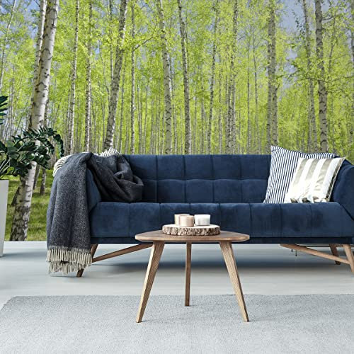 Wallepic Selbstklebende Fototapete Birkenwald der Sonne Moderne Tapete Wohnzimmer Schlafzimmer Büro Flur Wandtapete XXL Mehrfarbig Abstrakt Ideen Dekor Wandtattoo Br.520xHö.318