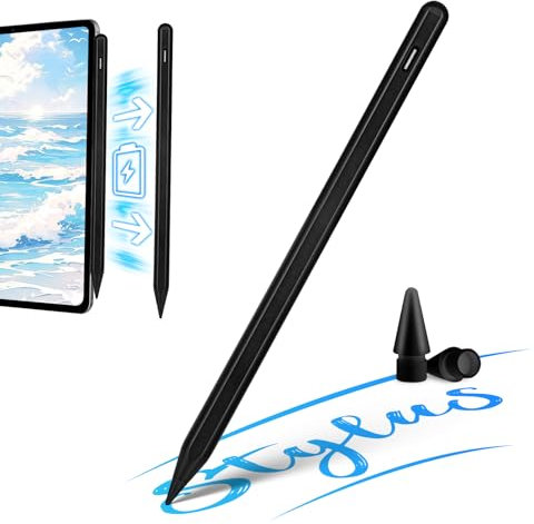 QLAYA Apple Pencil iPad 10th Generation/9th Generation iPad Pencil for iPad Air 4th/5th/iPad Mini 6th/iPad Pro 11/12.9 inch,Magnetic Wireless Charging and USB C Stylus Pen for 8th/9th/10th (Black)