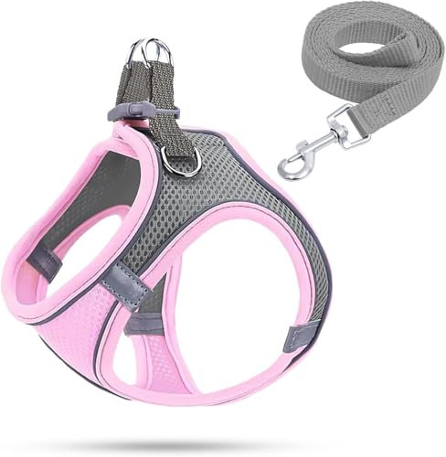 Curli Hunde- und Katzengeschirr mit Leine, Leuchtend, für Welpen und Kleine Hunde, Pink, Größe M